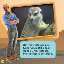 Load image into Gallery viewer, Blippi: Let's See Animals! by Thea Feldman