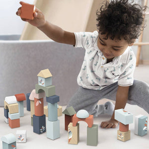 Speedy Monkey Building blocks (50 pieces)